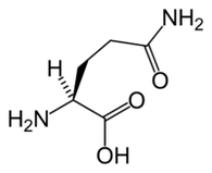 L-glutamine Keto Diet